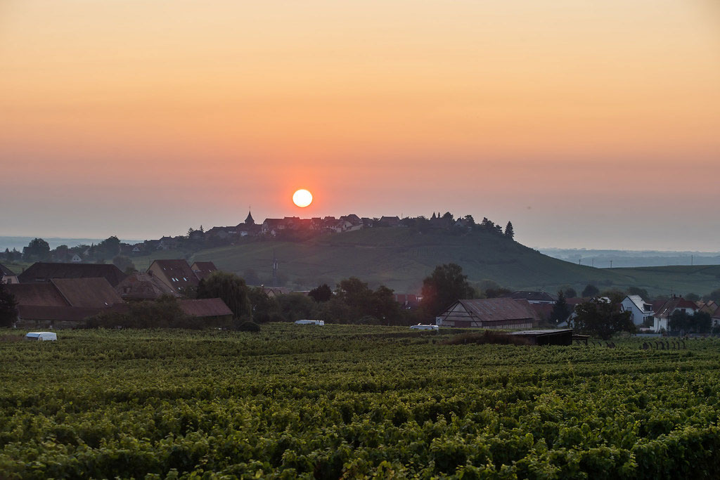 Magnifique coucher de soleil en Alsace en juin