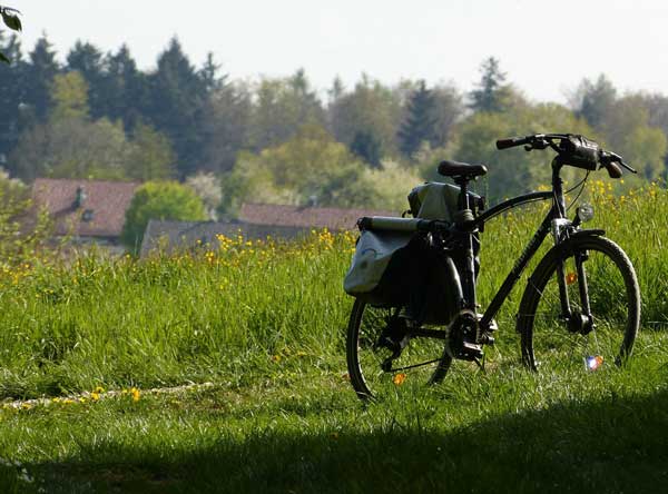 cycling in the Wine Road