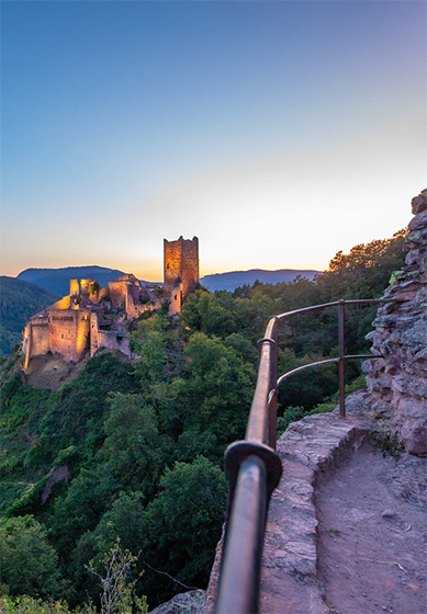 Balades dans les vignes en Alsace