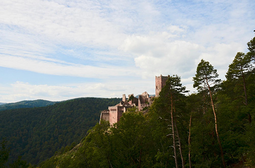 Vue sur les châteaux de Ribeauvillé
