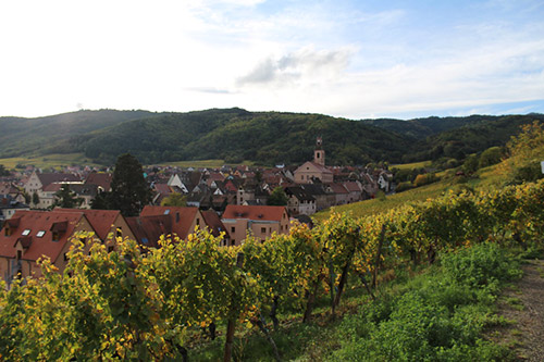 Frühlingswanderungen auf den Weinwegen