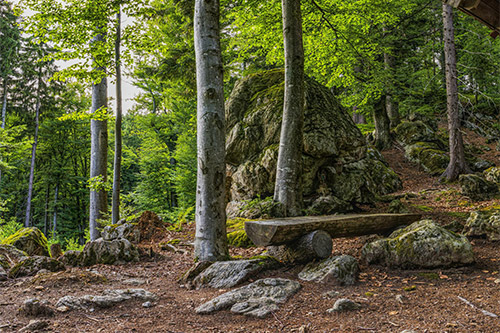 Der Sentier des Roches – eine Wanderung im Vogesenmassiv