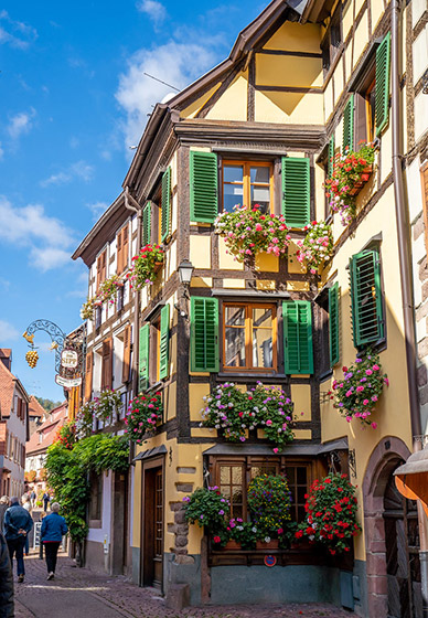 Façade d'une maison alsacienne à colombages ornée de géraniums fleuris au printemps dans un village d'Alsace