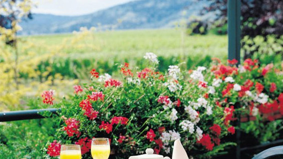 petit-déjeuner en terrasse