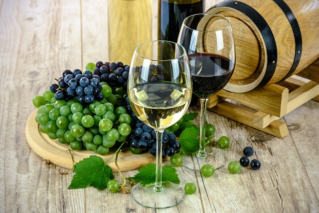 dégustation vin Alsace Route des vins