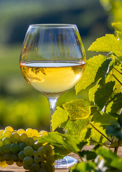 Foire aux vins Ribeauvillé 2026