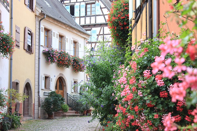 visite eguisheim