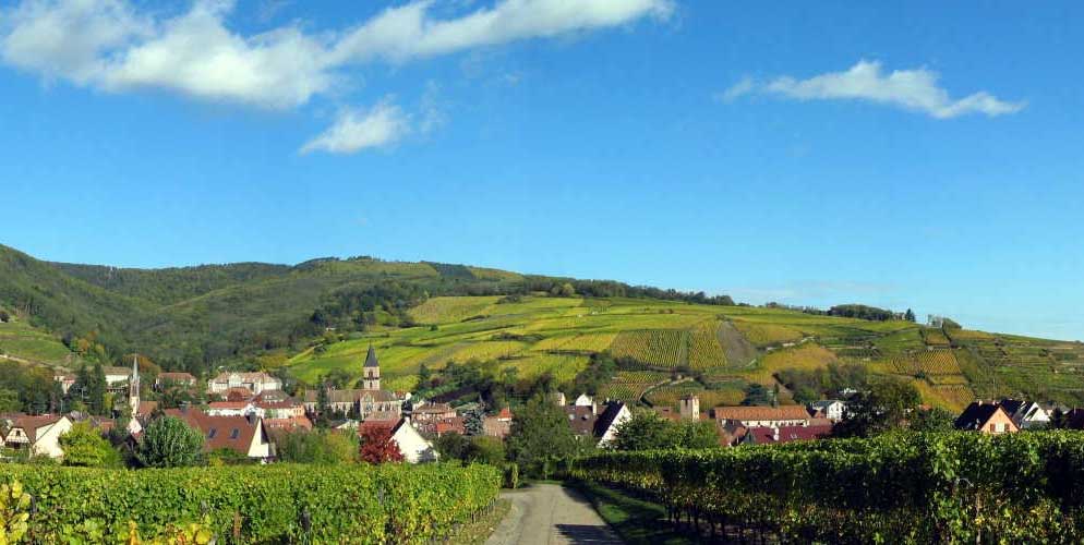 route des vins à vélo