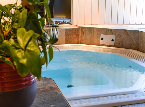 espace détente jacuzzi