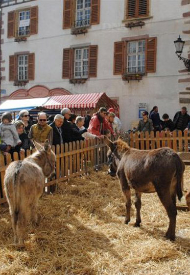 marché de printemps paysan de Ribeauvillé