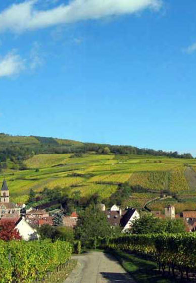 visiter la route des vins d'Alsace