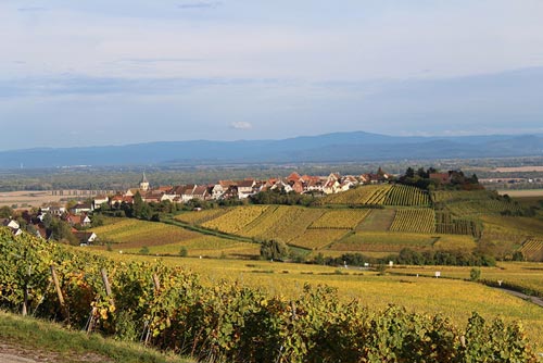 vue Route des vins Alsace