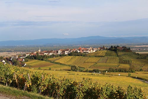 route des vins d'Alsace