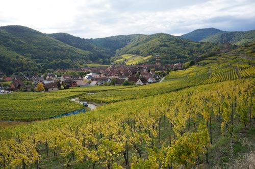 Route des vins Alsace