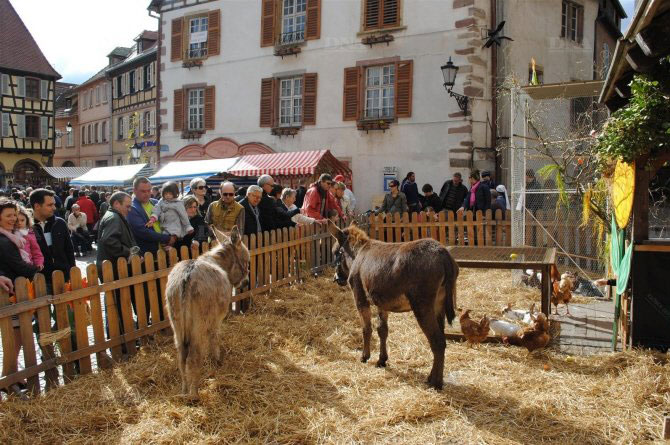 marché de printemps paysan à Ribeauvillé