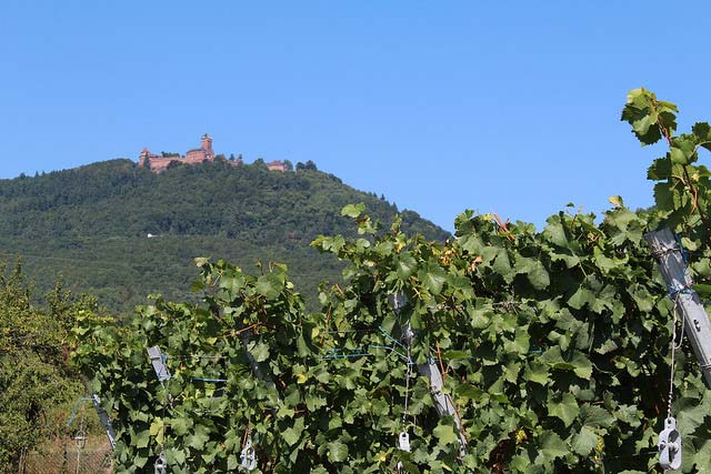 visite en famille des villages d'Alsace