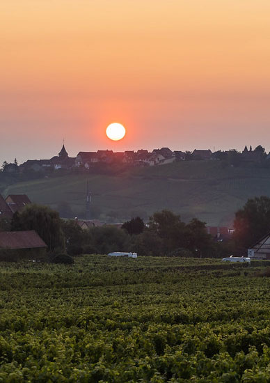 visiter l'Alsace en juin