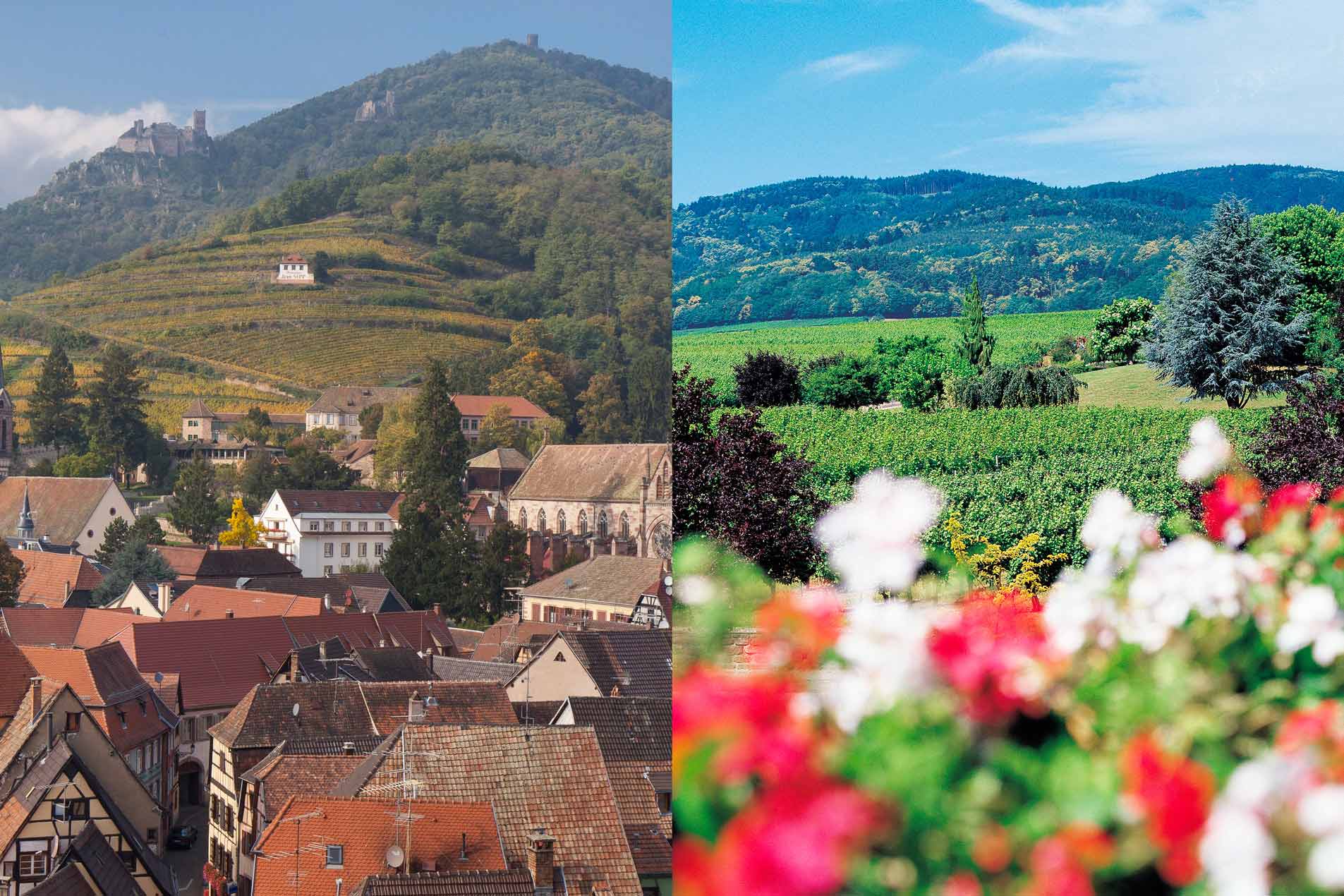 L'Alsace : Une région magnifique et pleine d'atouts !